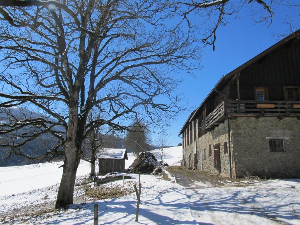 Ferienhaus Waldsicht Flachau Zewnętrze zdjęcie
