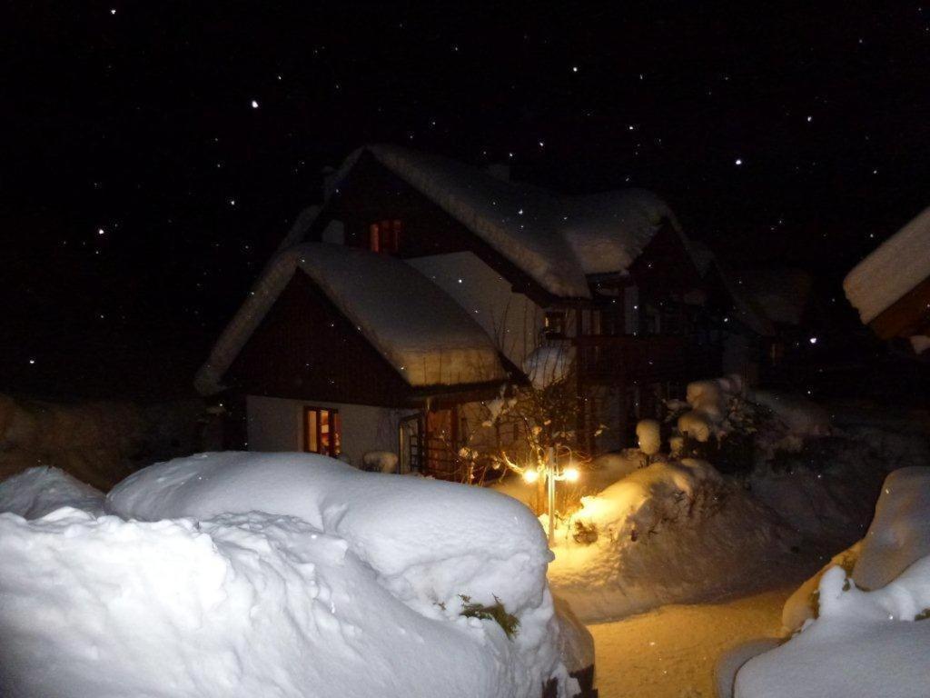 Ferienhaus Waldsicht Flachau Zewnętrze zdjęcie